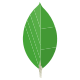 MongoDB MongoDB